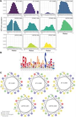 Ubiquitin Interacting Motifs: Duality Between Structured and Disordered Motifs